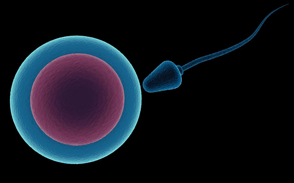 �ƶ����ʡ�(�й�)Ψһ�ٷ���վ